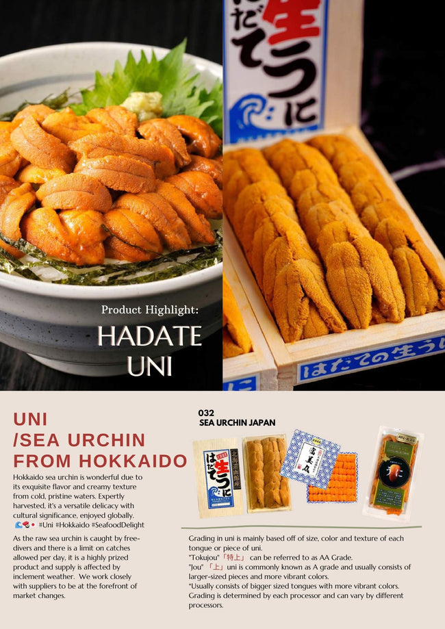 Uni/Sea Urchin From Hokkaido
