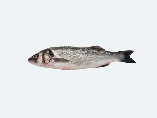Branzino (Whole Fish)