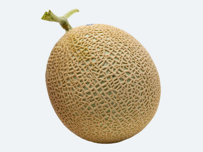 Japanese Crown Melon