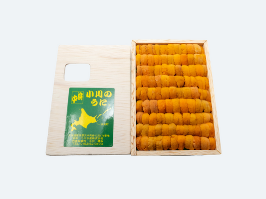 A Hokkaido Uni (Jou)