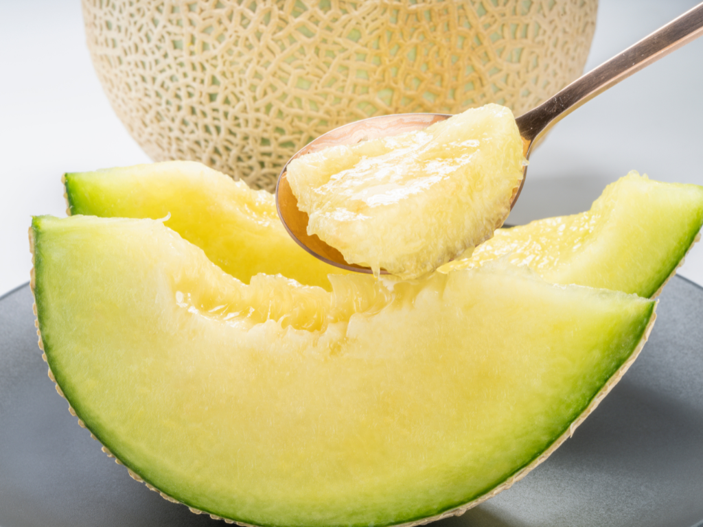 Japanese Crown Melon