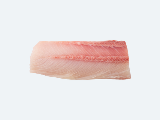 Hiramasa Saku | Yellowtail Amberjack