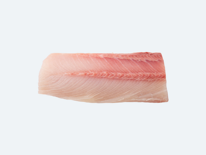 Hiramasa Saku | Yellowtail Amberjack
