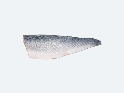 Frozen Branzino